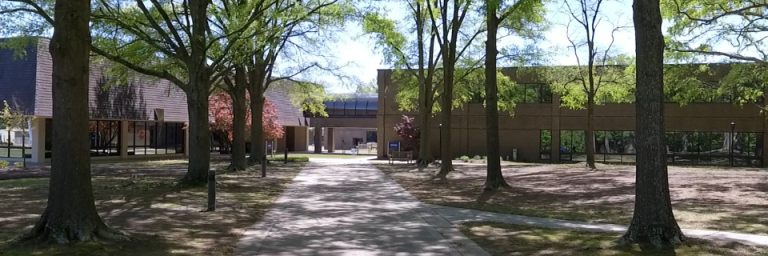 Wide shot of campus buildings and trees