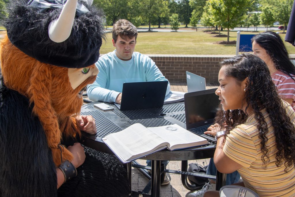 Students studying with the Viking