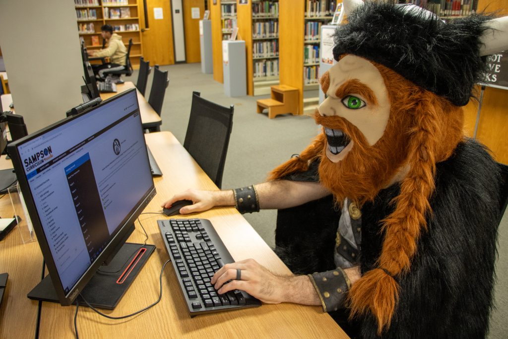 Viking on computer